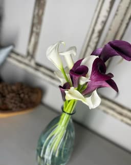 Magnolia Blooms  thumbnail 3