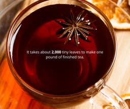 Serasana - Organic Teas thumbnail 4